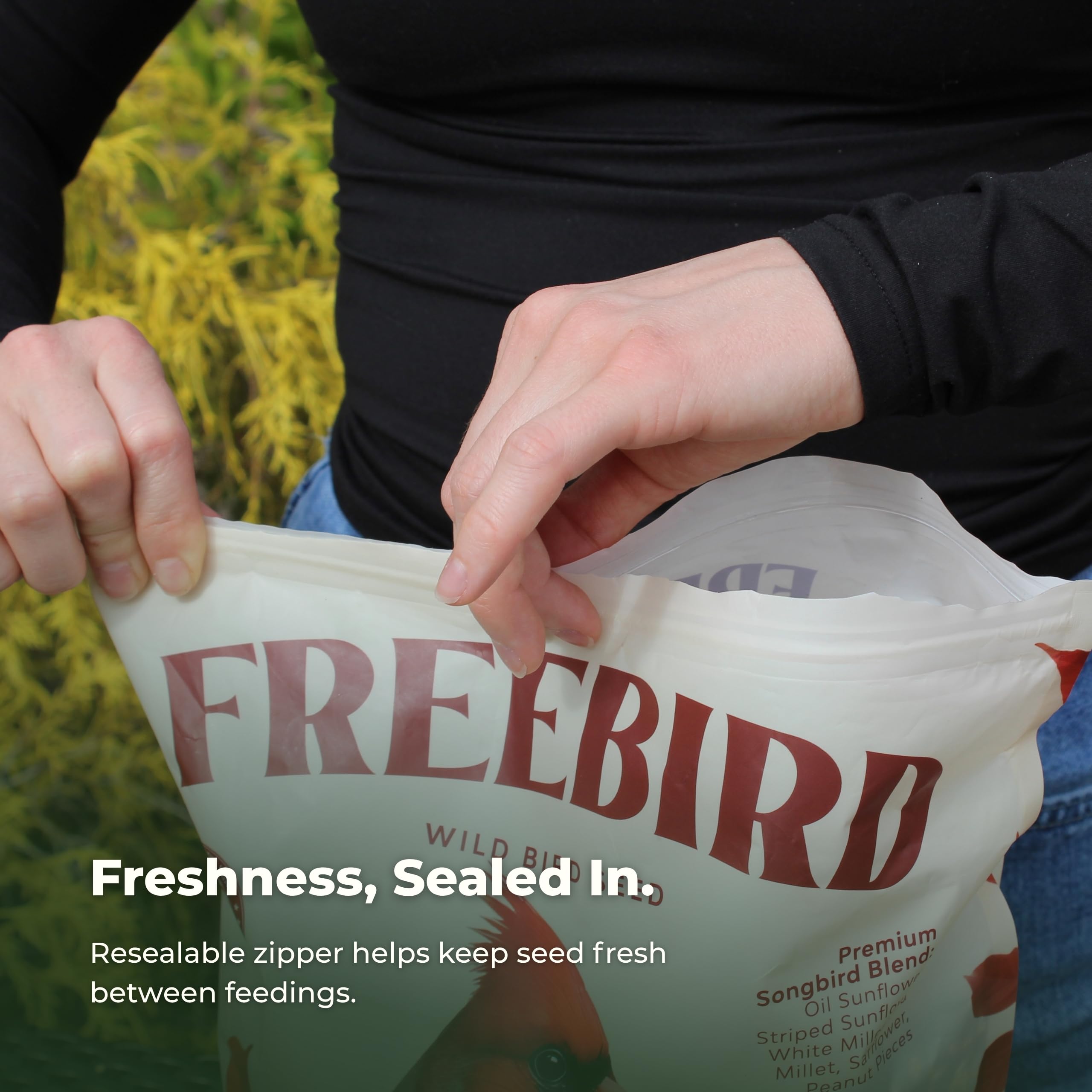Freebird Pokarm dla dzikich ptaków – mieszanka premium z czarnym olejem słonecznikowym, słonecznikiem w paski, krokoszem barwierskim, kawałkami orzeszków ziemnych, białego prosa, czerwonego prosa dla