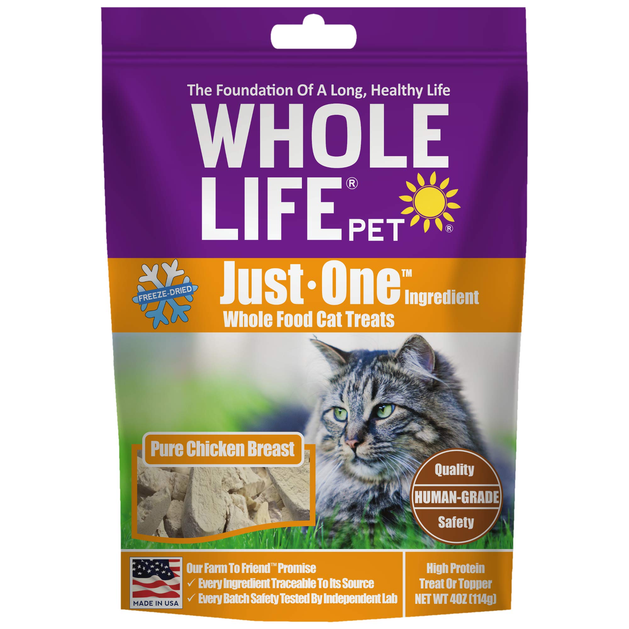 healthiest cat treats 2019