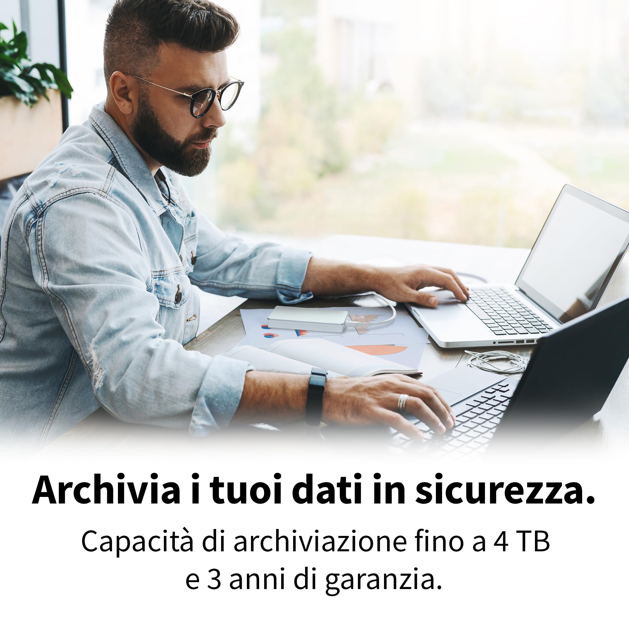 Toshiba Canvio Flex 1TB silver