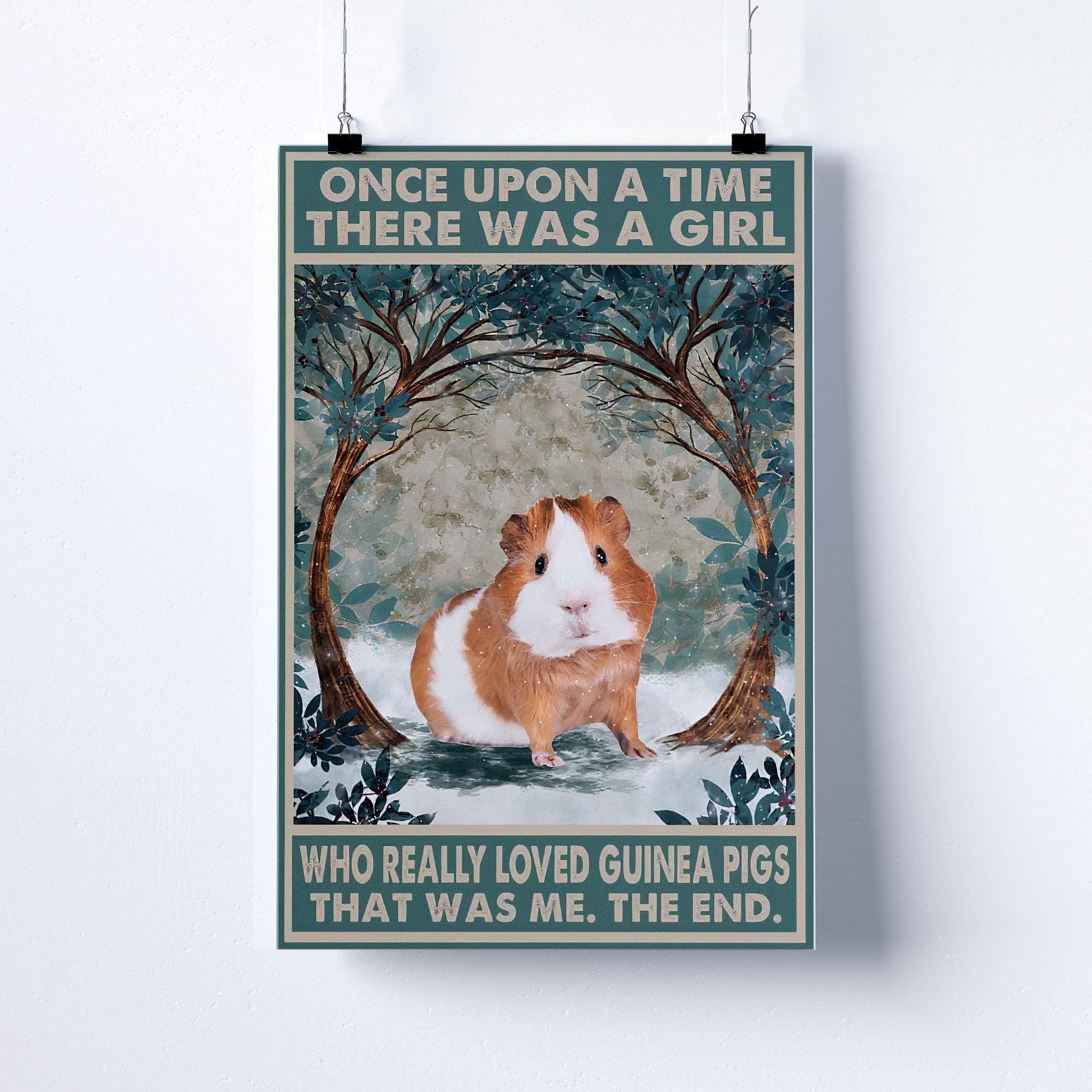 Vintage Metal Tin Sign,A Girl Who Really Loves Guinea Pig Poster, Once Upon A Time,Cute Guinea, Novelty Sign Vintage Metal Tin Sign Wall Sign Plaque Poster 8x12inch