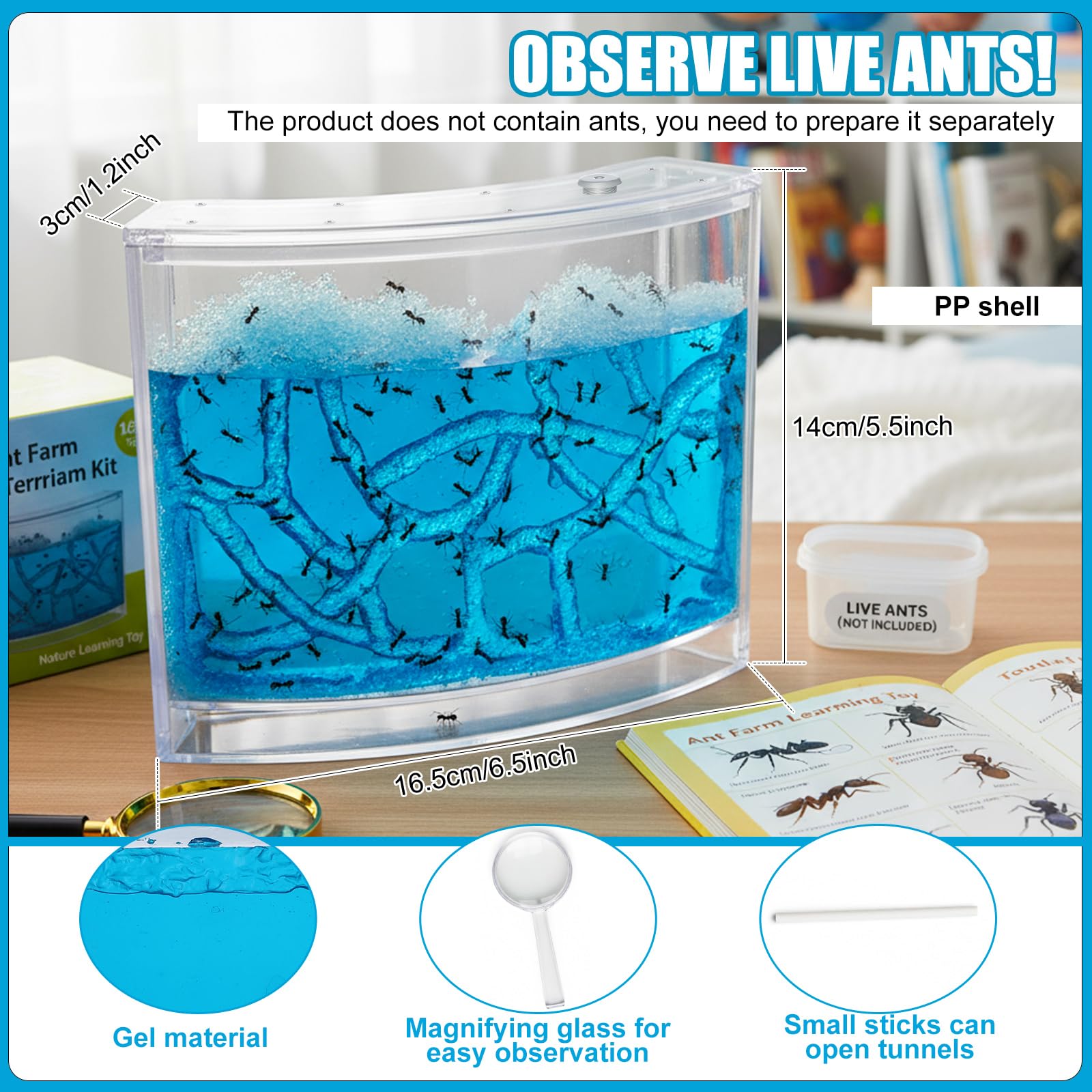 Amazon.com: Acellegic Ant Farm Terrarium Kit Giant Ant Farm Large