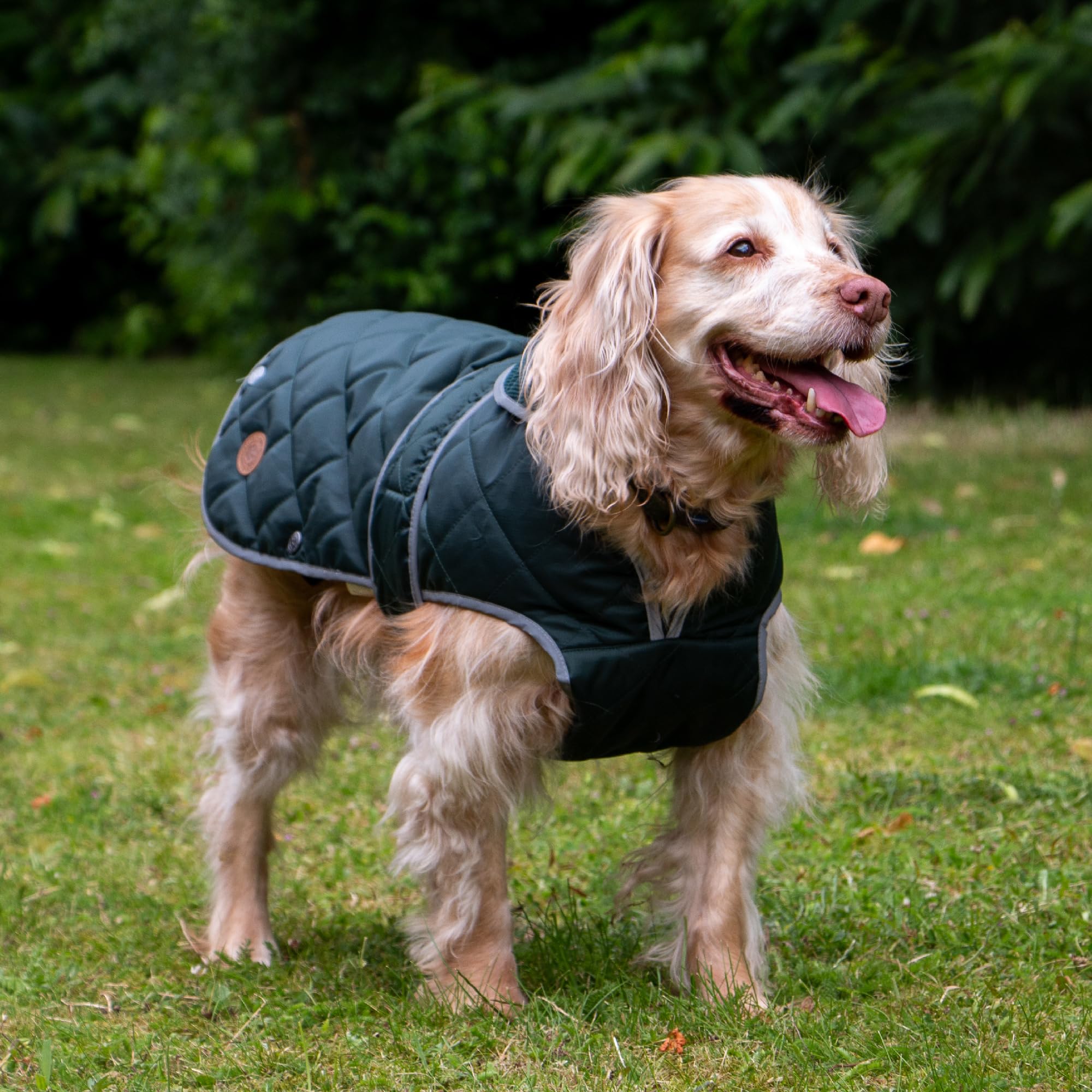 Ancol Heritage Quilted Dog Coat in Green, Waterproof Fleece Lined Pet Jacket with Zipped Harness Hole - Image 3