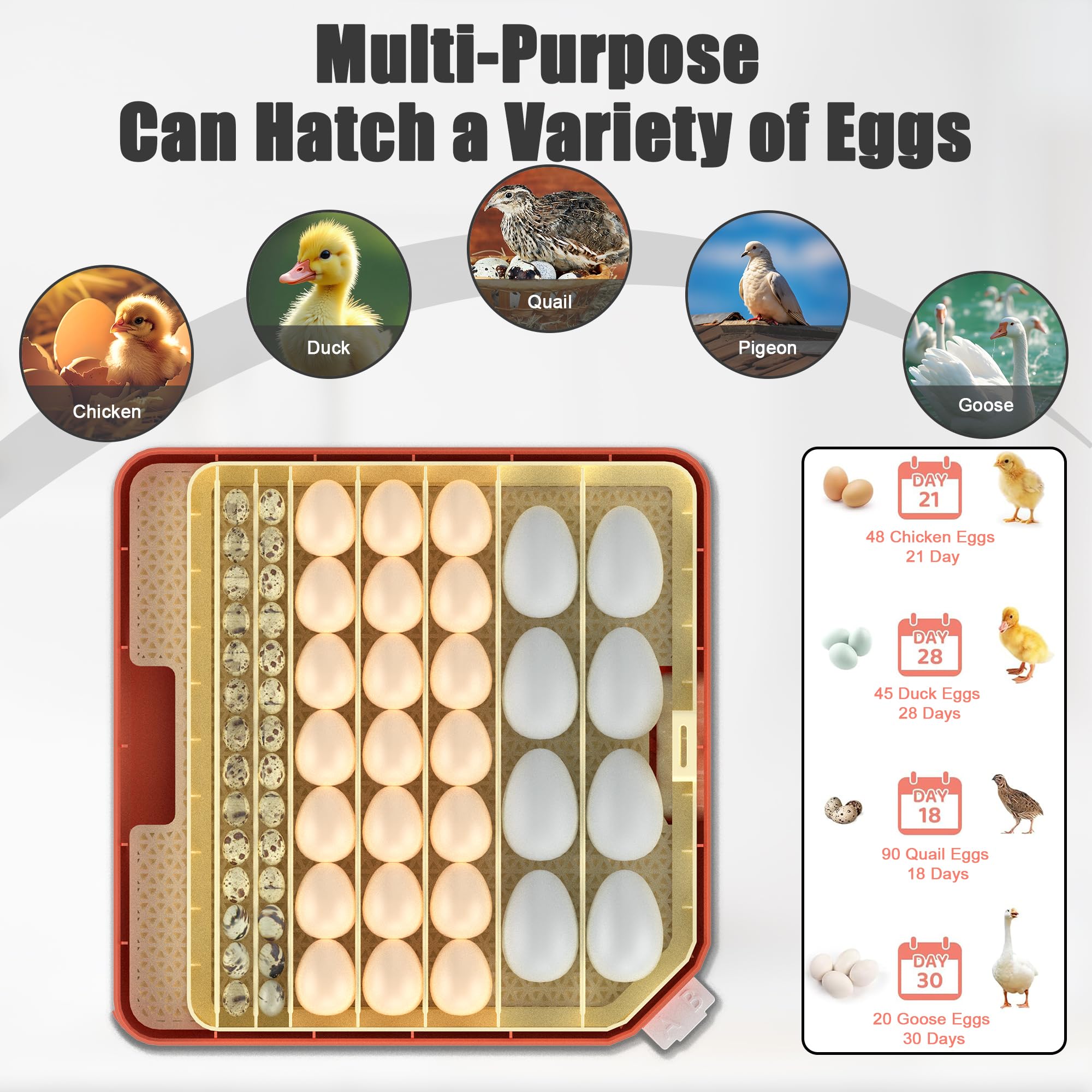 Incubadora automática de huevos de 48 huevos, incubadora con volteamiento y humidificación automáticas, ajuste de temperatura automática incubadora para huevos de gallina, ganso, codorniz
