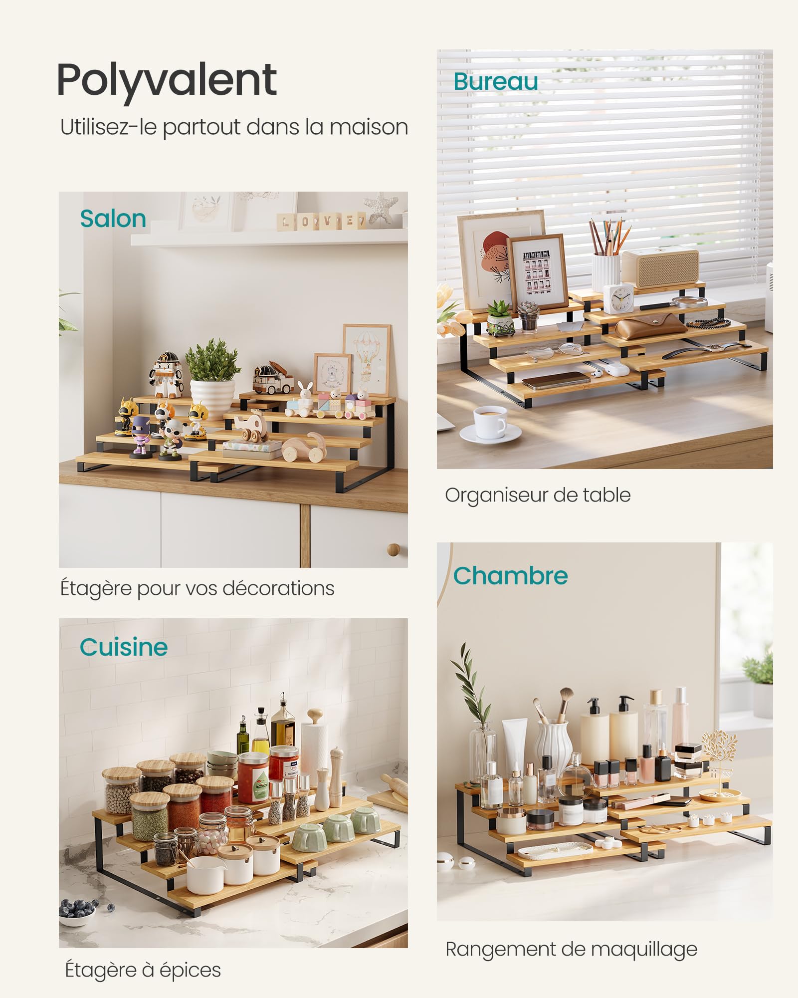 ZDDLOINP Étagère à Épices, Organisateur De Placard, 2 Niveaux Porte