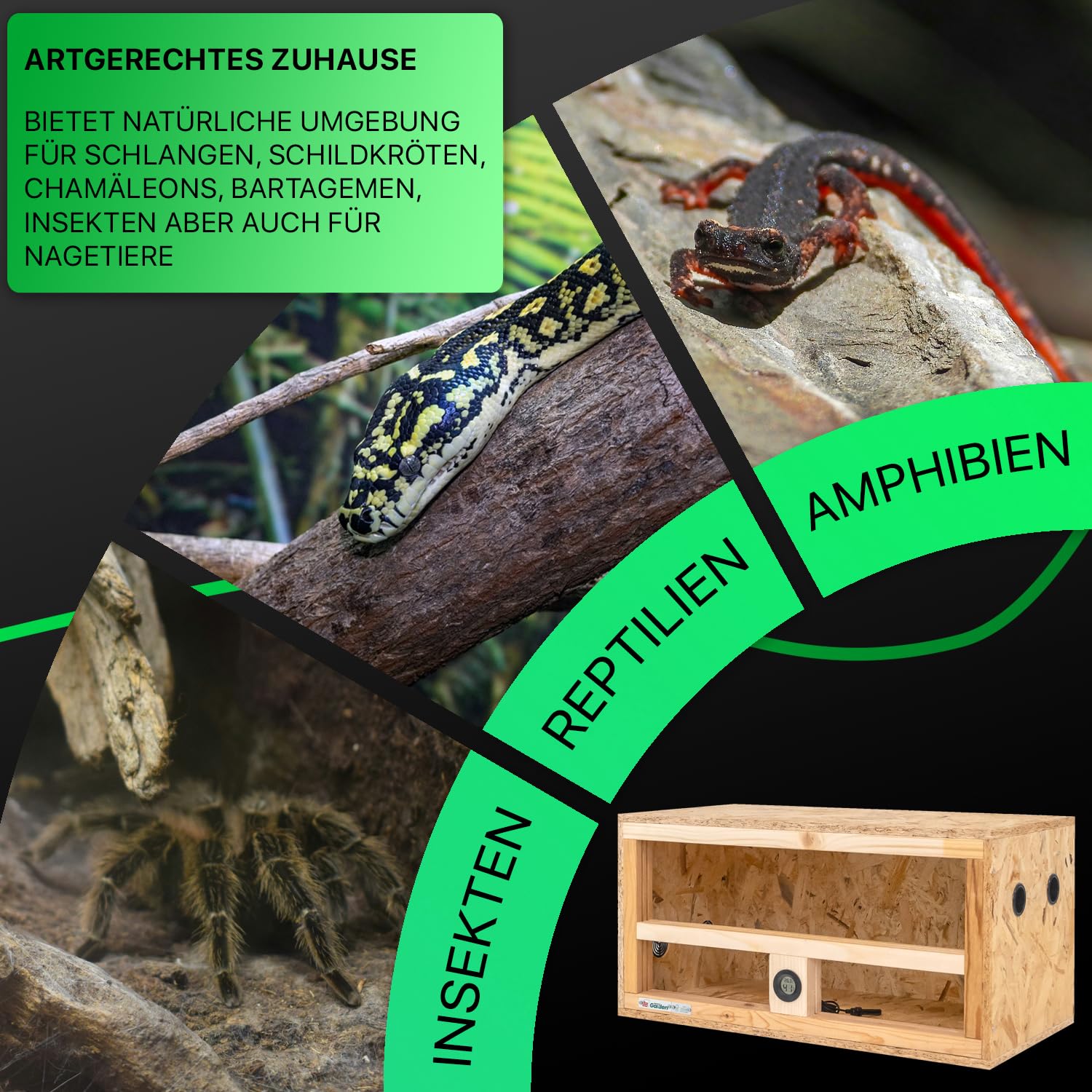 ITA Mini Terrarium 60x30x30 cm mit Seitenbelüftung & Integriertem Hygrometer - Holzterrarium aus OSB-3 Platten - Terrarien für Reptilien, Schlangen, Amphibien - EU Produkt, FSC Zertifiziert
