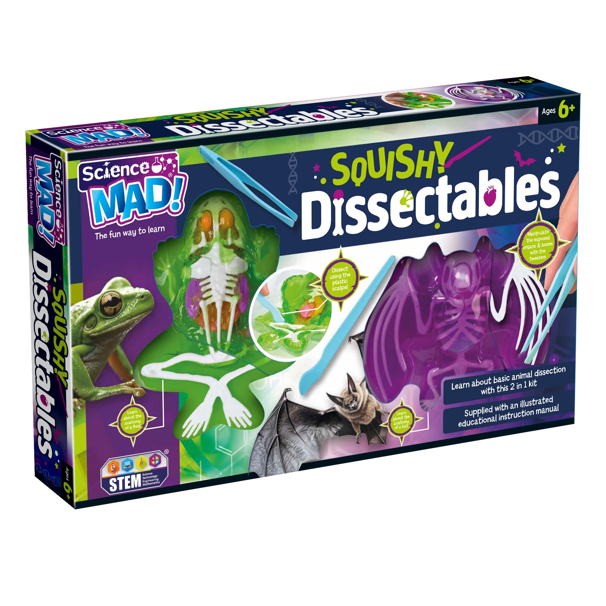 Science Mad Squishy Dissectables 2 Pack - Kids Fun Anatomy Organ Toy