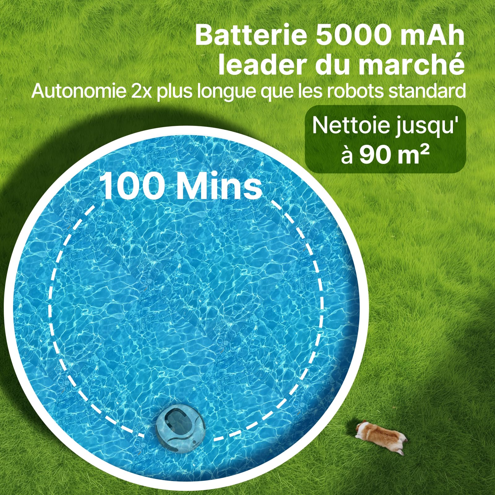POOLPURE 2026 Robot Piscine sans Fil Aspirateur de Piscine Automatique avec Capteurs Hall, Autonomie 100 Min, 5000mAh, pour Piscine Hors Sol et Enterrée jusqu'à 90m², Système de Roues Innovant