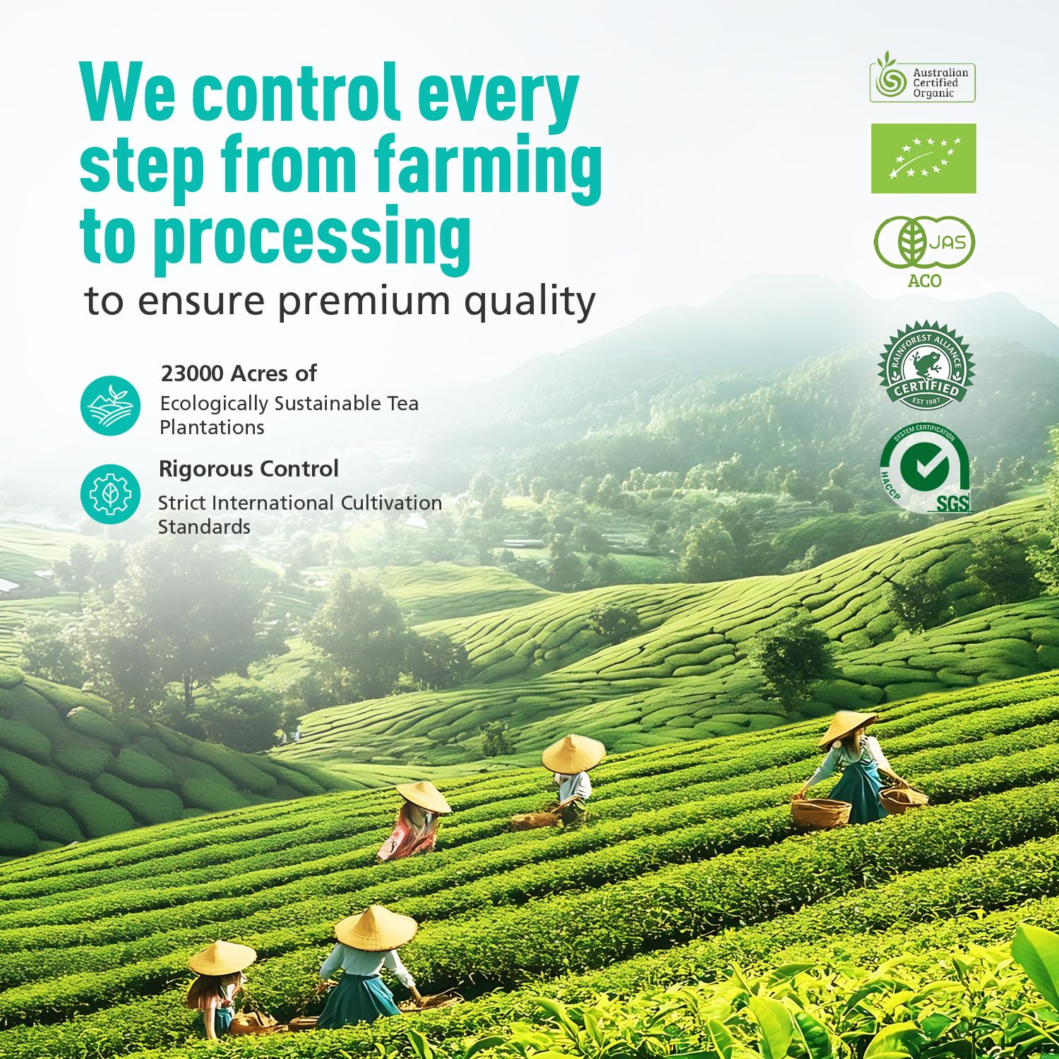 Emerail Ceremonial Grade Matcha Green Tea Powder Premium First Harvest Unsweetened 100 Pure Matcha for Lattes Smoothies and — view 6