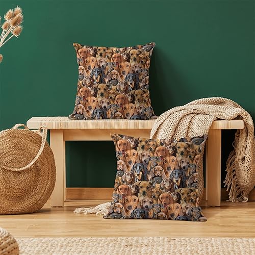 Miniatura 10 de 2 fundas de cojín con diseño de perro Sheltie, con temática de raza de perro, para sofá, cama, decoración del hogar, regalos conmemorativos de