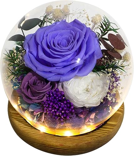 Valley of Rain & Forest Flores reales de larga duración, regalo floral único para que envíes amor para todas las ocasiones, para decoración de