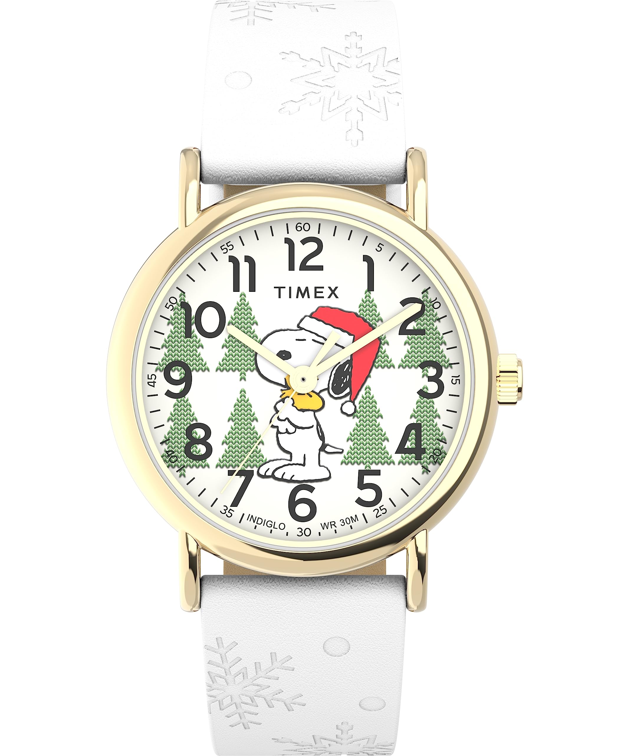 Timex X Peanuts Holiday Weekender unisex 38 mm leather strap watch TW2W24100