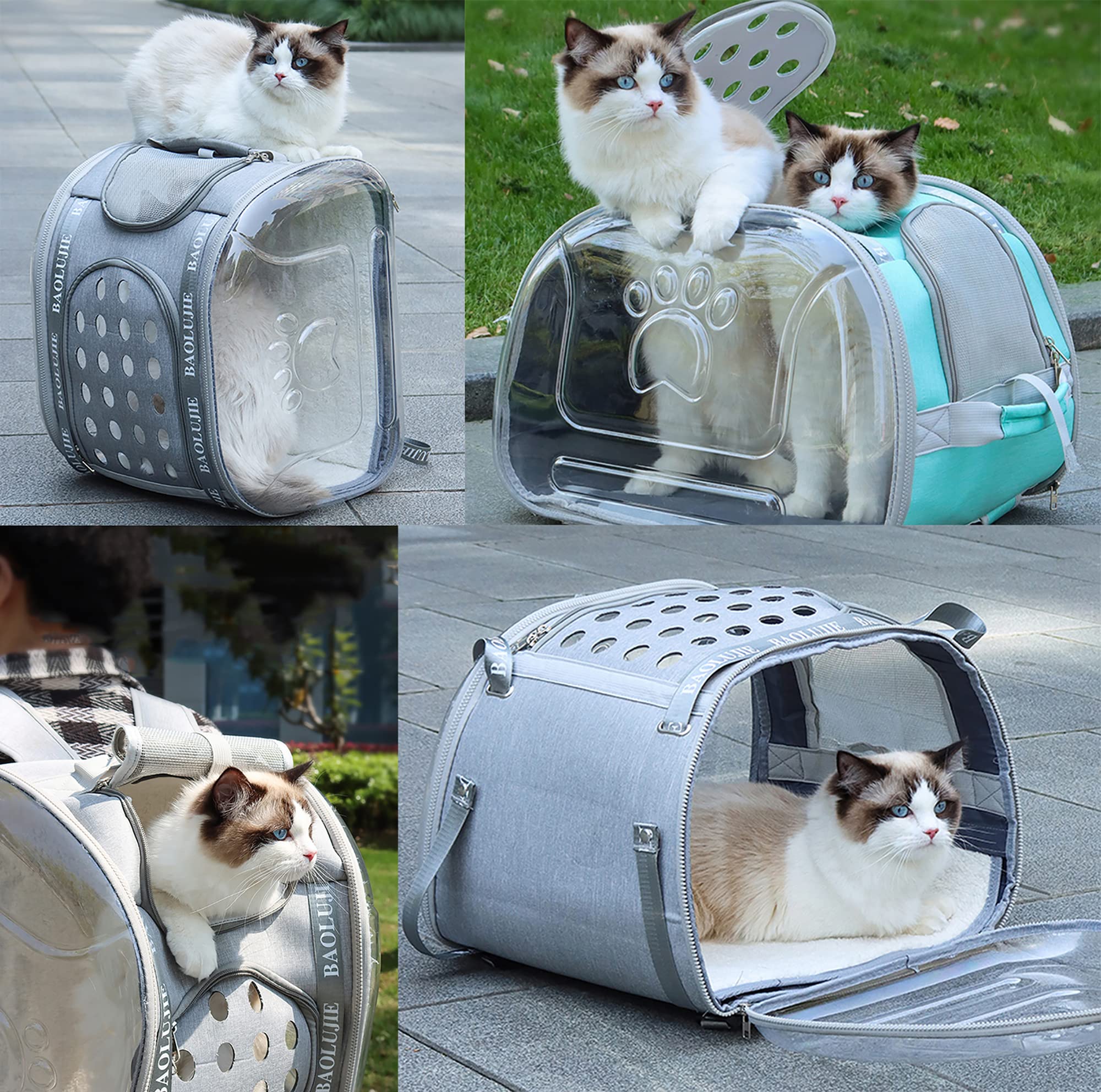 Großer Katzenrucksack, Raumkapsel, transparent, zum Transportieren von Haustieren, Wandern, Reisen, Doppelnutzung, zusammenklappbar, für mittelgroße Welpen und Katzen (schwarz)