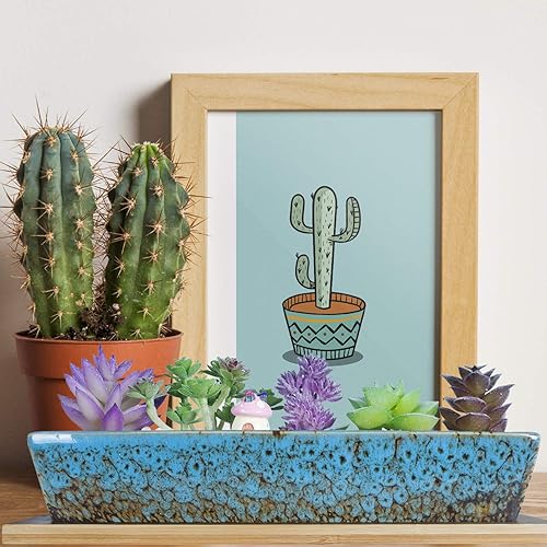 Miniatura 9 de ARTKETTY Macetas para suculentas grandes con bandeja de drenaje 1 maceta rectangular  1 maceta redonda para bonsái