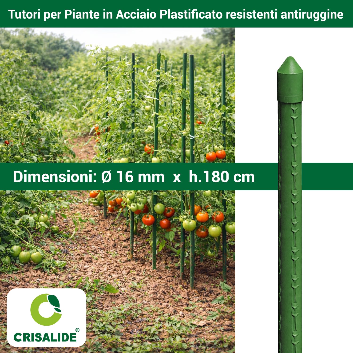 Crisalide® Tutores para plantas 180 cm Ø16 mm de acero plastificado antioxidante, bastones para tomates, huerto y jardín, soporte plantas resistentes, disponibles 5 10 25 unidades (25)