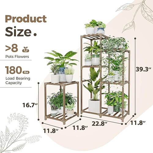 Miniatura 6 de Bamworld soporte para plantas 01J