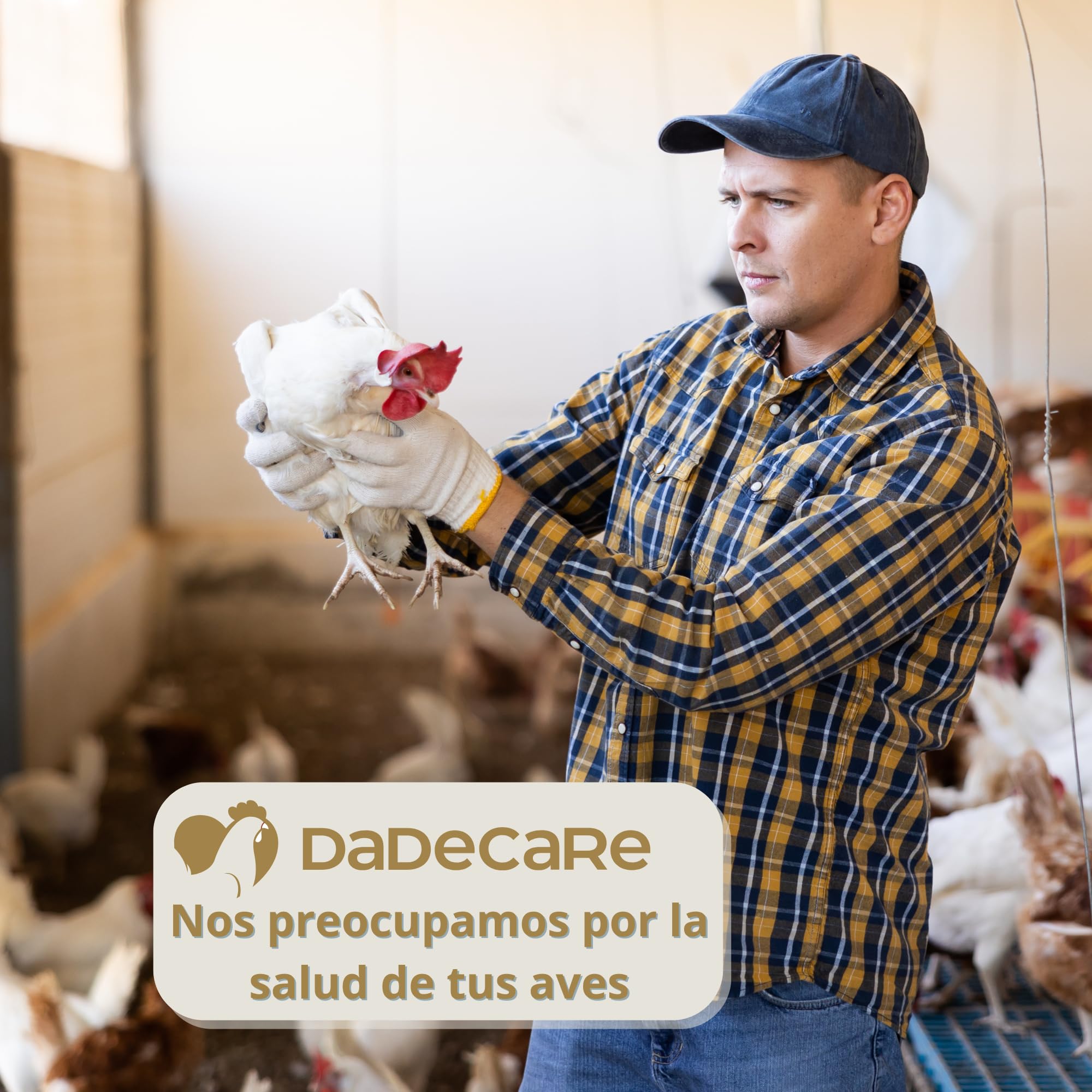 Preventivo Parasitos Natural 250 ml - Gallinas, Aves de Corral y Exóticas - Extracto de Citronela y Clavo - Fórmula Natural - Excare