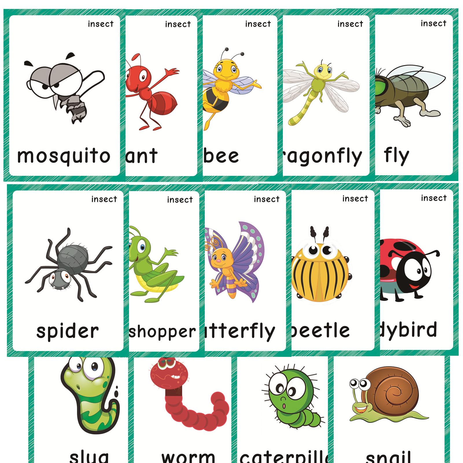 14 Pcs Insect Flash Cards, Learning First English Word Cards for Teacher/Autism Therapists Home school ESL Teaching Aid Materials, Tools