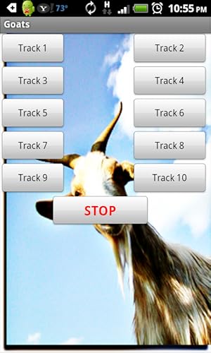 Goat Sounds