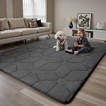 Sour Lemon 8x10 Area Rugs for Bedroom, Living Room Fluffy Rug, Large Area Rug Shag Shaggy Carpet Soft Plush Furry Bedside Rug, Machine Washable Area Rugs for Kids Girls Boys Home Decor Anti Slip