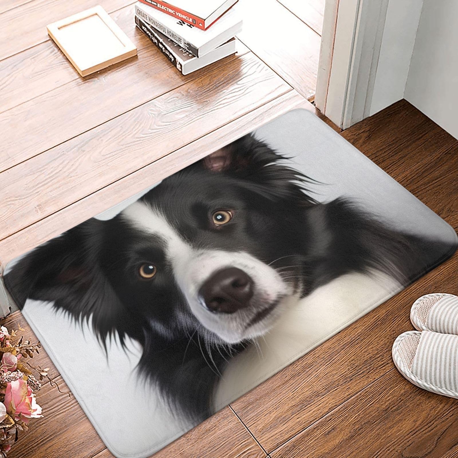 Door Mat Non-Slip Welcome Mats Border Collie Doormat Washable Front Door Mat for Entrance Flannel Soft Rugs Absorbent Doormat Indoor Outdoor Entrance