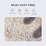 HONEY CARE Petrichor Mix Litter chat - Pellets de Tofu et de Bentonite à base végétale durable - Low-Dust Quick Clumping, Contrôle supérieur de l'odeur, 24-lbs Emballage de valeur (6 lbs x 4)