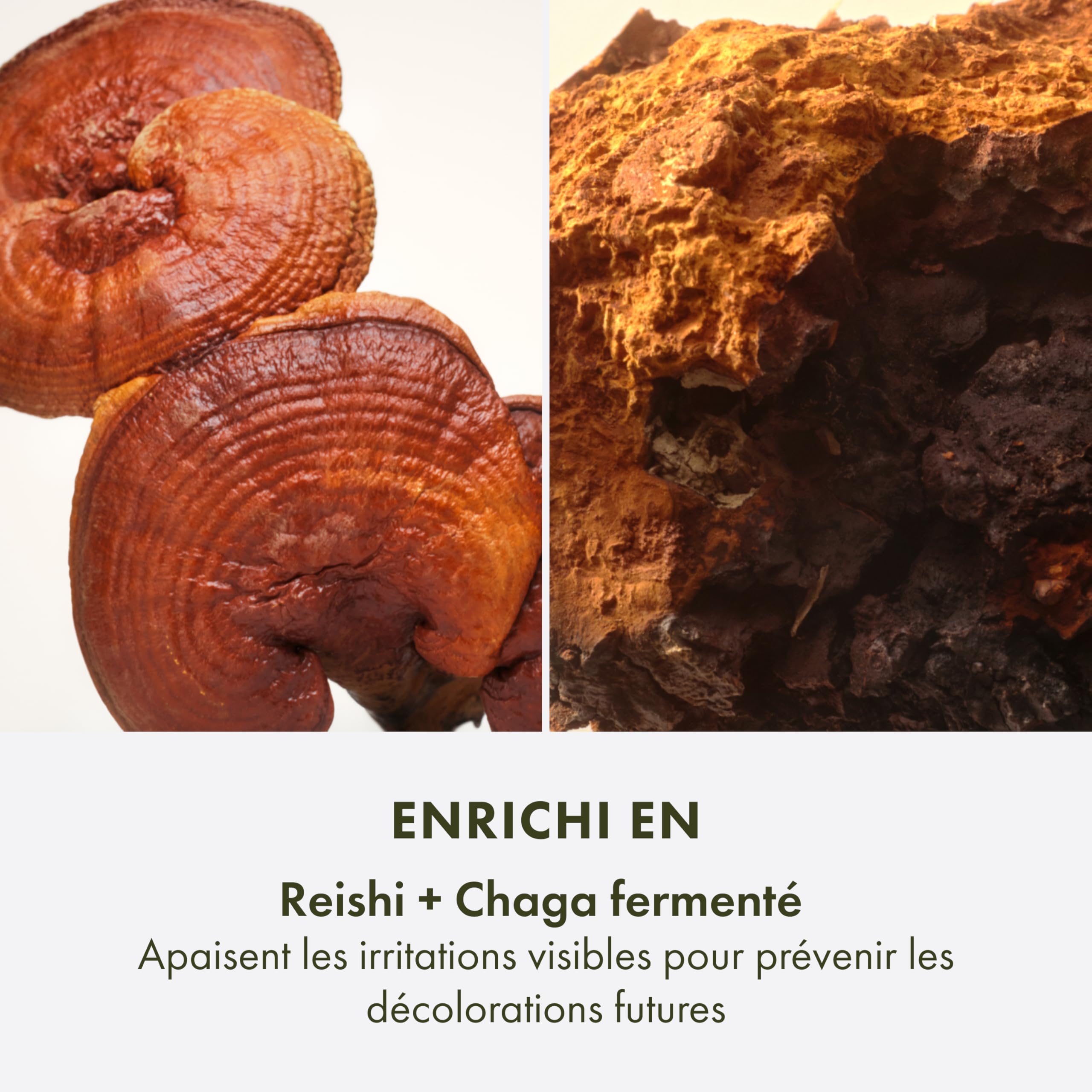 Origins Mega-Mushroom Soin Hydratant Correcteur Anti-Taches, Réduit l’hyperpigmentation visible et les marques post-acné, Contient de la vitamine C et du champignon Reishi, 50 ml