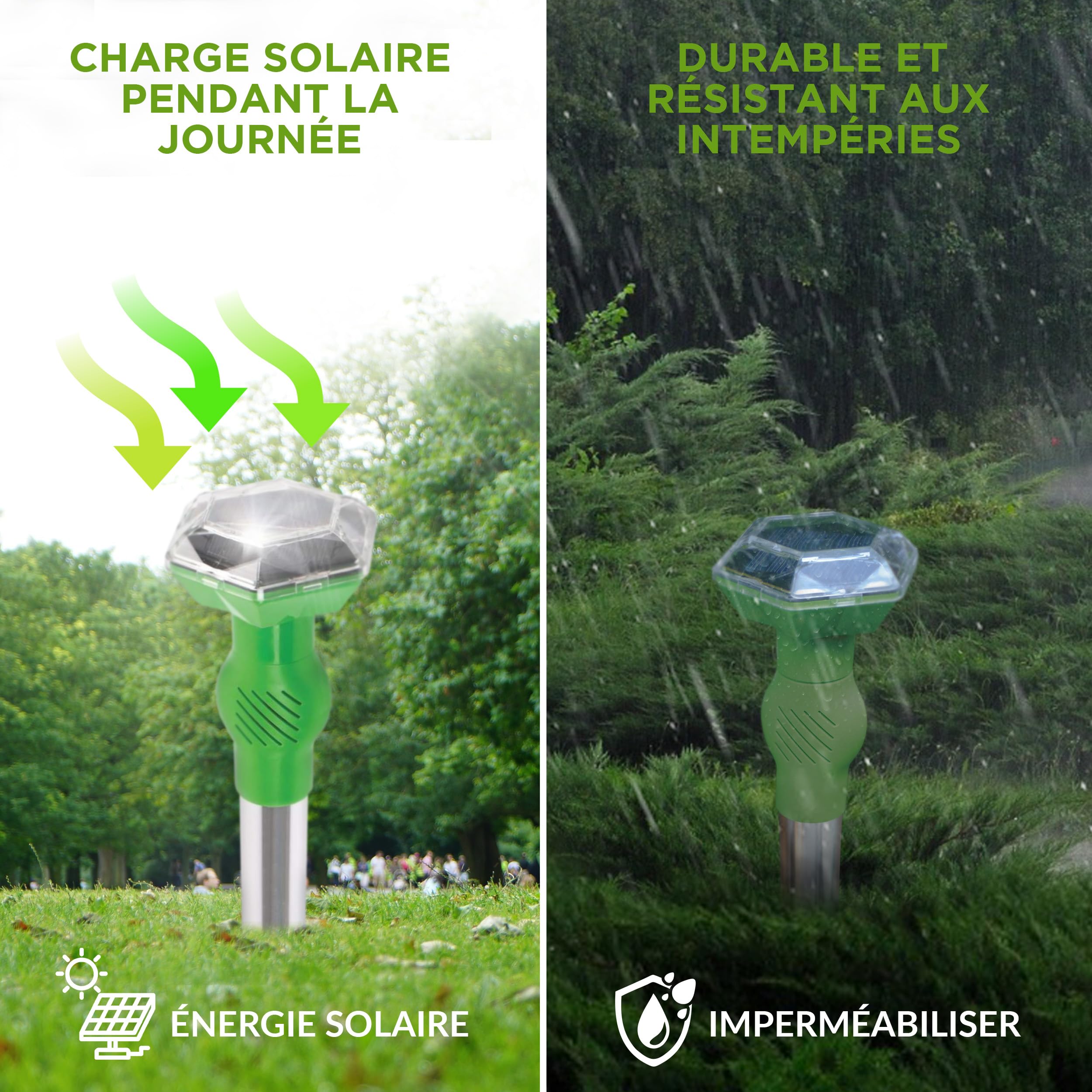 ISOTRONIC Répulsif Solaire pour Chats, Chiens, Renards et ratons laveurs – Répulsif ultrasonique pour Chats et Chiens pour Le Jardin – Répulsif avec Une portée Efficace de 40 m² (2 unités)