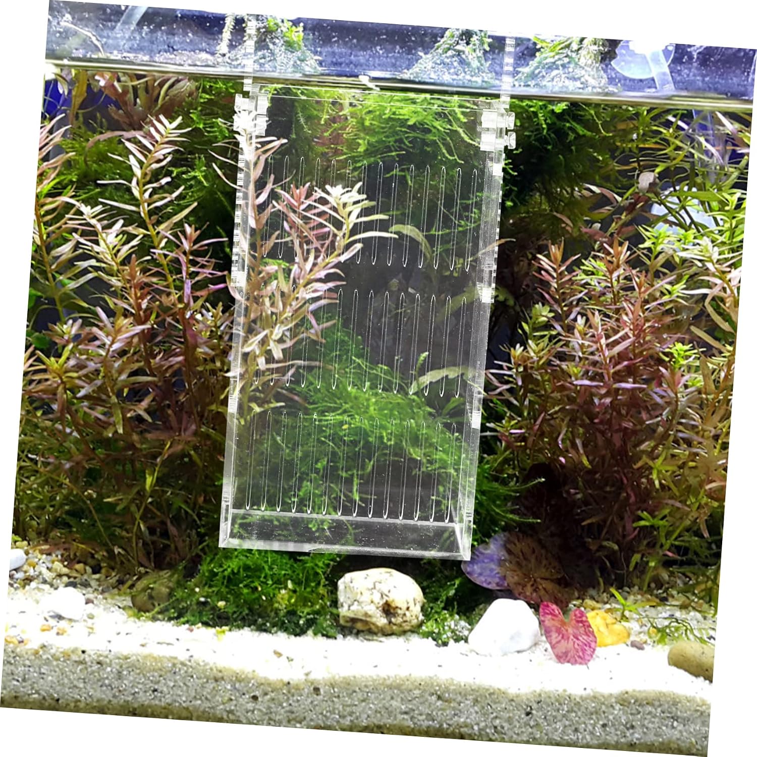 Acrylic Betta Fish Tank Divider Breeding Box for Guppy Turtle Aquarium Accessory