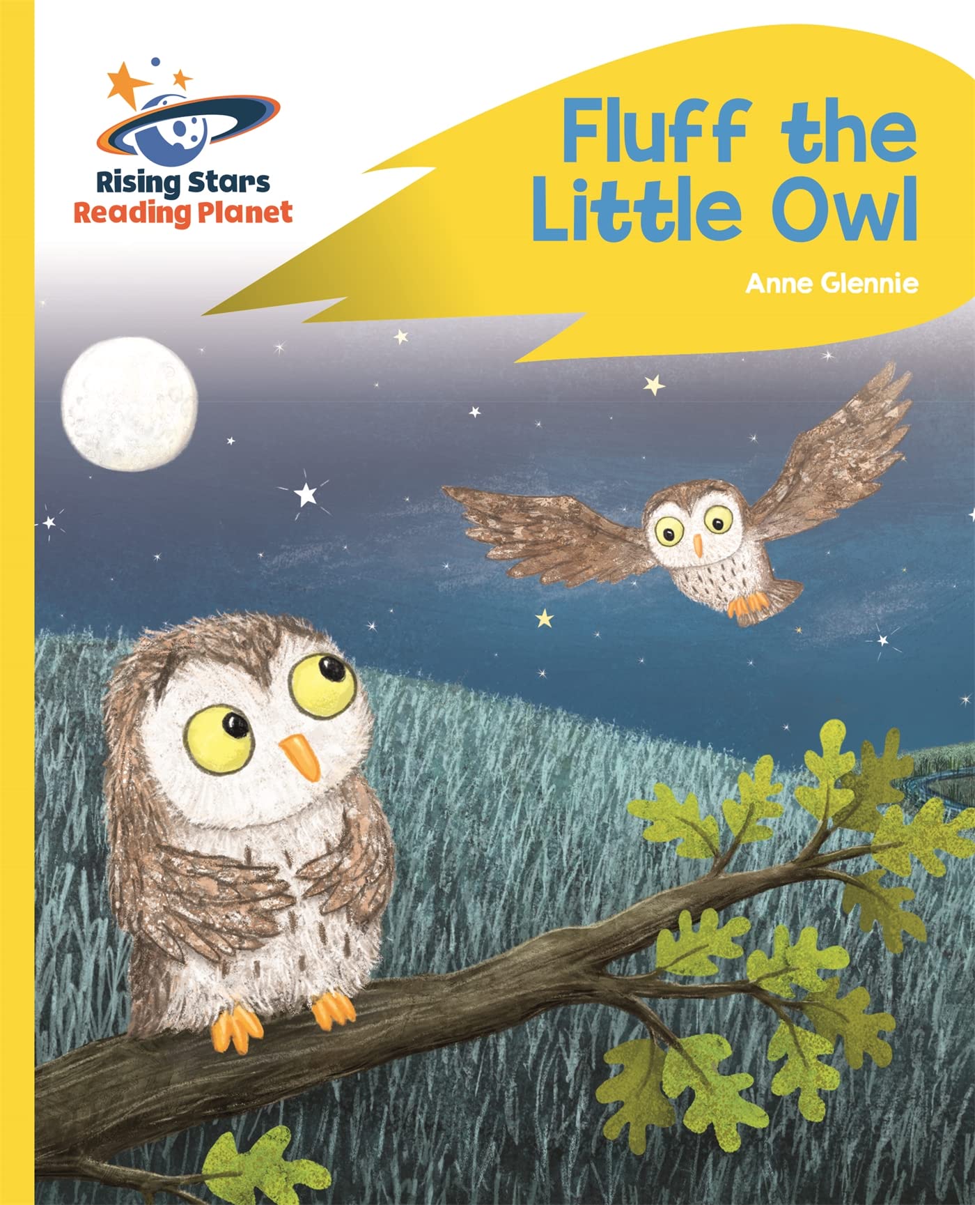 Reading Planet - Fluff the Little Owl - Yellow Plus: Rocket Phonics (Rising Stars Reading Planet)