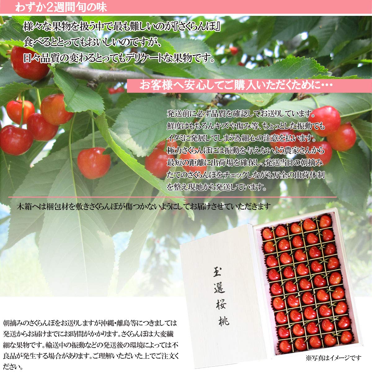 Amazon.co.jp: 山形県産 さくらんぼ 佐藤錦 木箱入り 手詰め