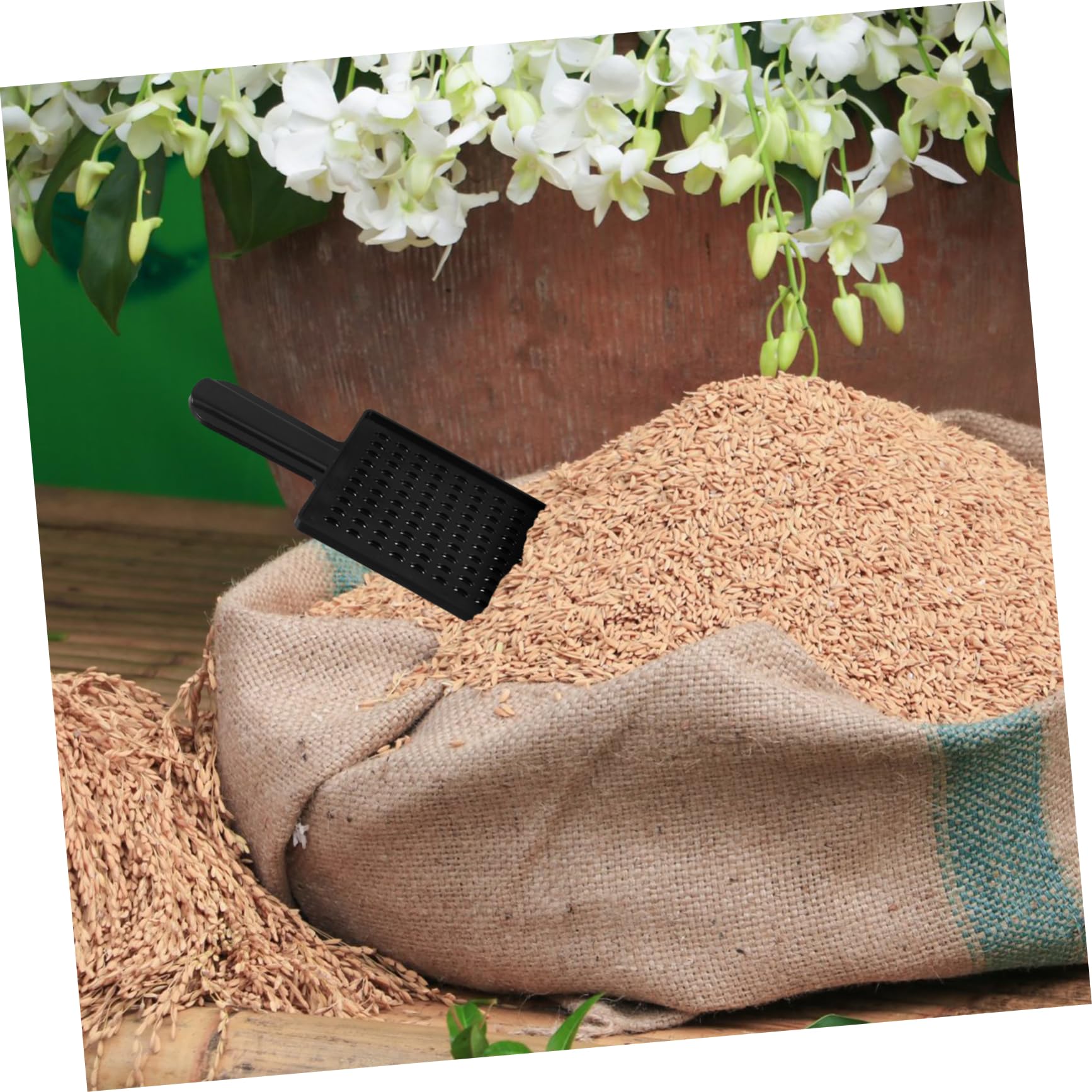 Plateau De Comptage De Grains avec Poignée Outil Manuel Réutilisable pour Comptage Précis De Riz Blé Agriculture Rapide Et Facile
