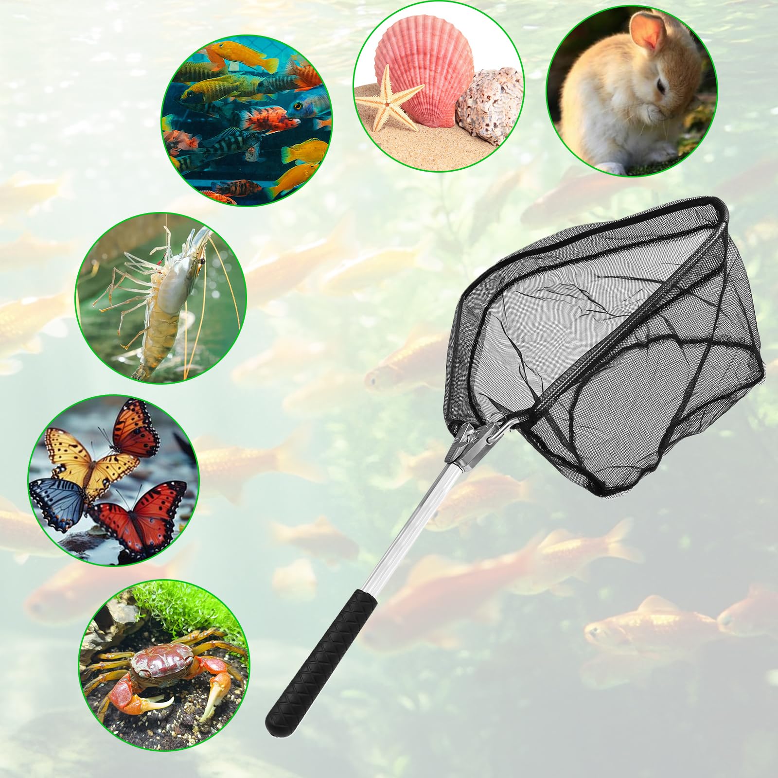 Épuisette De Pêche Télescopique 50cm Pliable - Filet Léger Et Robuste Pour Adultes Et Enfants