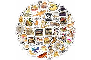 100PCS Colorful Bearded Dragon Decals
