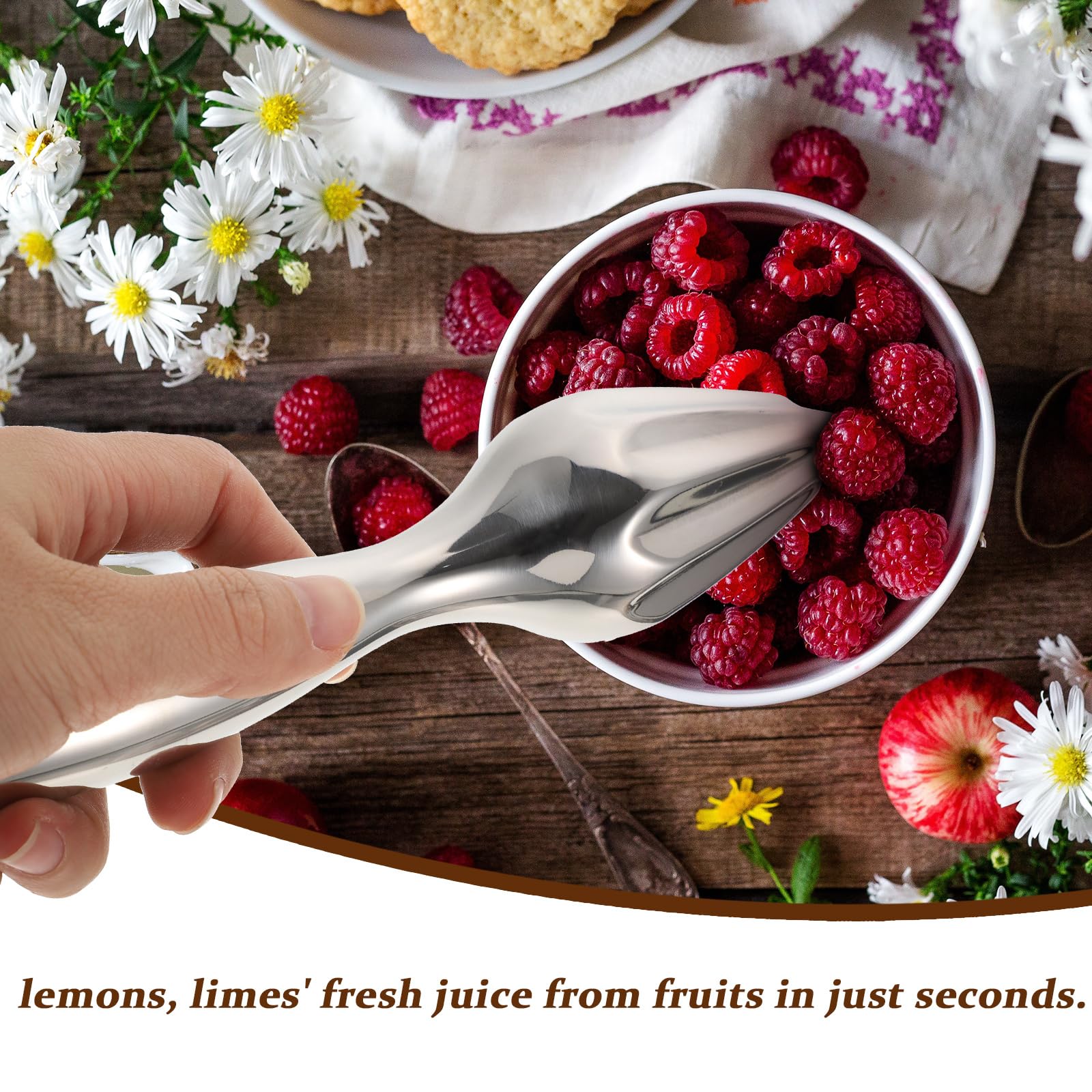 Stainless Steel Citrus Reamer Lemon Hand Juicer Beech Wood Handheld Citrus Juicer Easy to Hold Kitchen Juicing Tool Manual Orange Lime Lemon Juice Reamer Extractor for Daily Home Bar