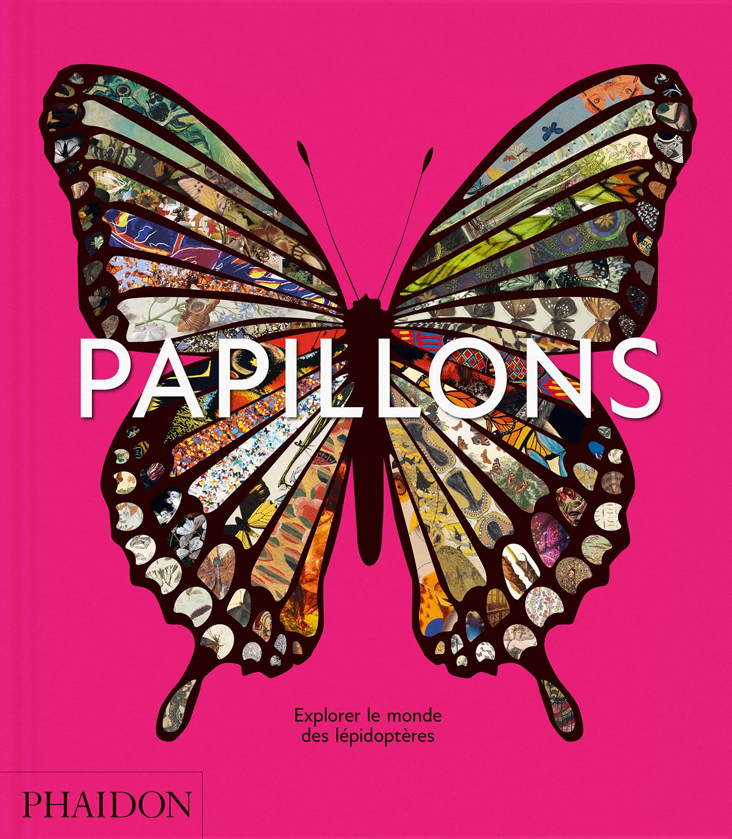 Papillons: Explorer le monde des lépidoptères