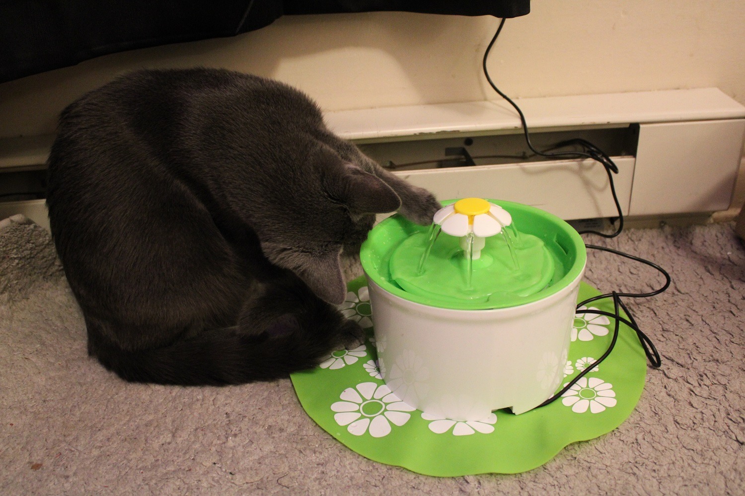 Great for paw-bapping and hours of entertainment!