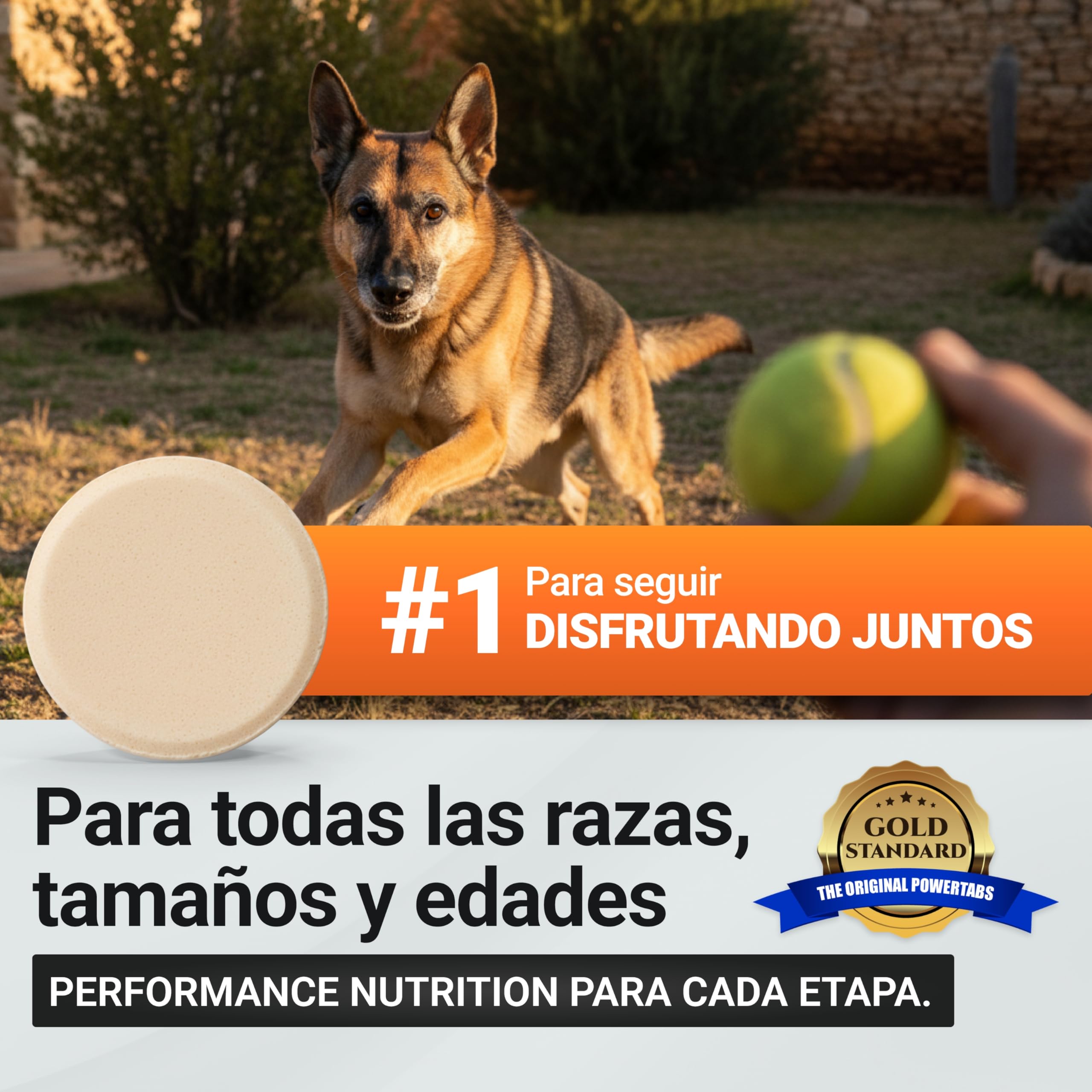 Power Tabs – Suplemento para Ganar Peso y Aumentar Masa Muscular en Perros | Tabletas Proteicas de Alto Rendimiento