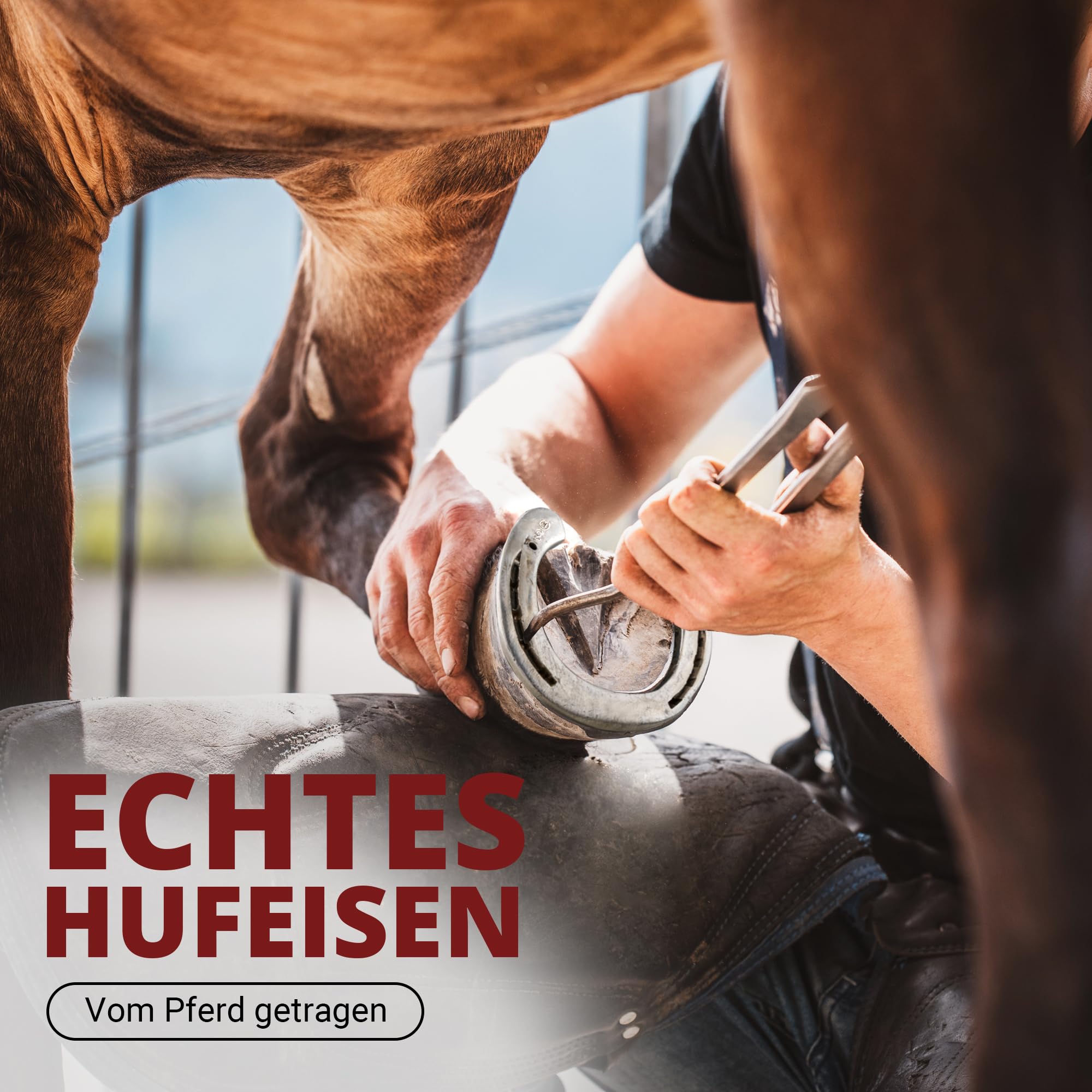 PURAJA Hufeisen Geschenk | Echtes getragenes Hufeisen | Glücksbringer zum Geburtstag, Einzug, Richtfest, zur Hochzeit, Taufe oder Geburt | Original inkl. Echtheitszertifikat