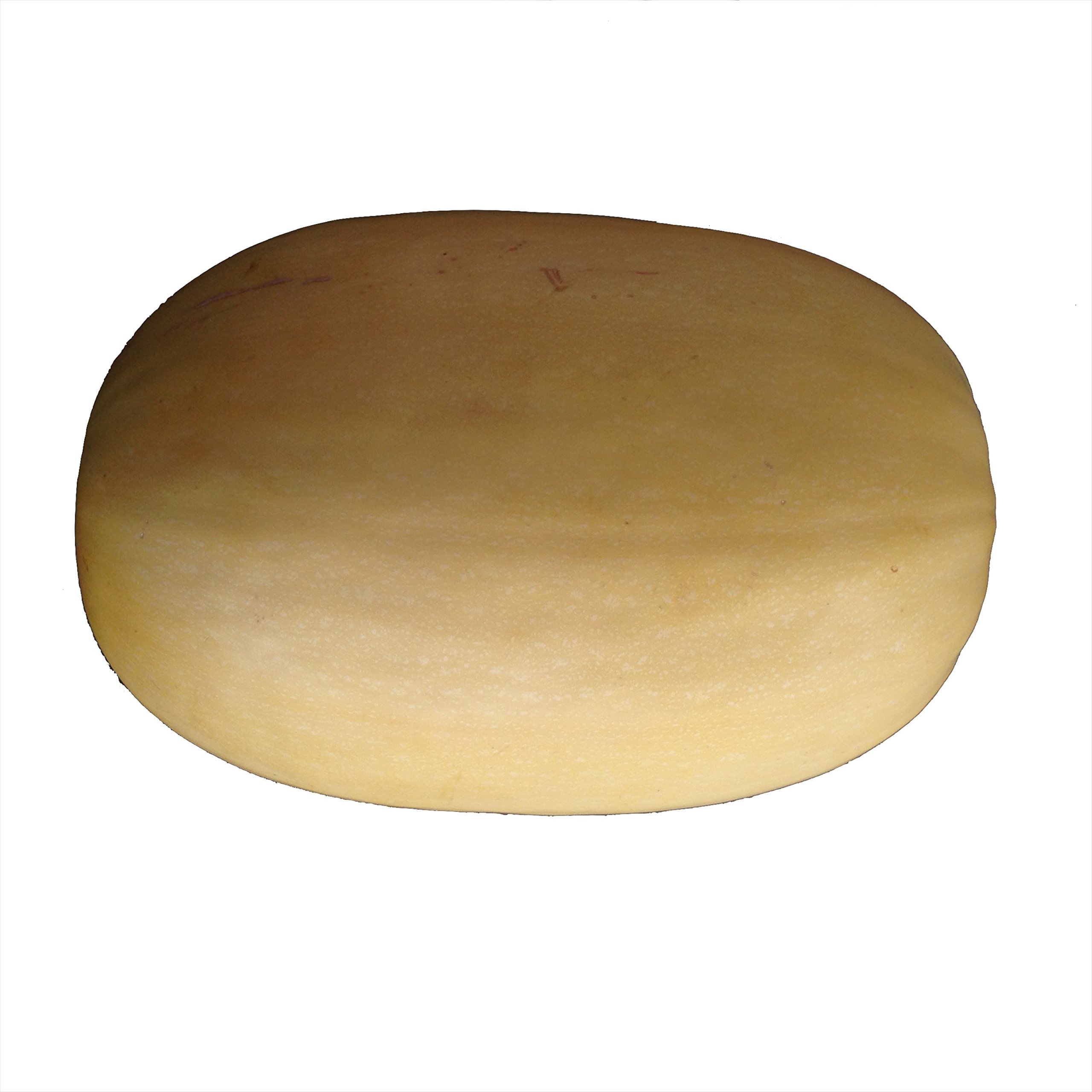 Spaghetti Squash Seeds