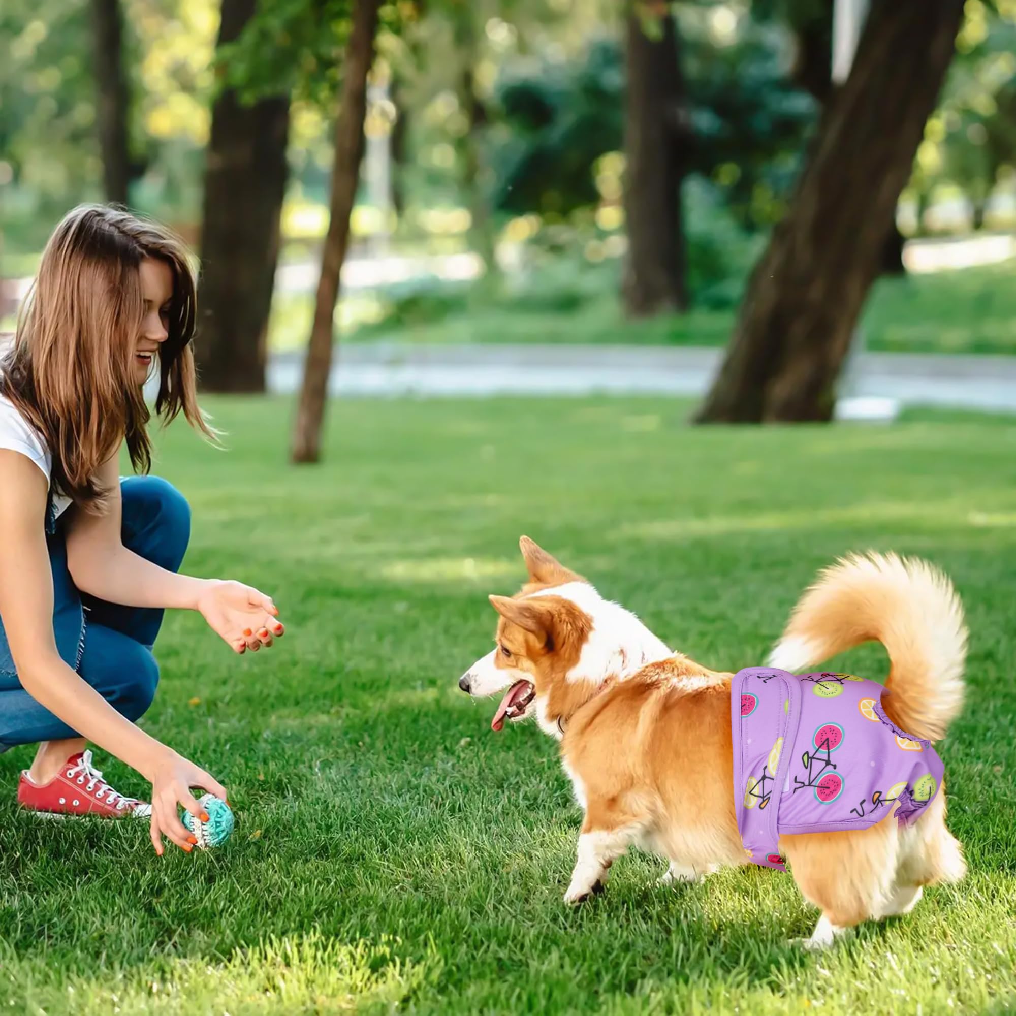 Reusable Dog Nappies 3pcs, Super Absorbent Dog Period Pants for Female Washable Dog Diapers Puppy Sanitary Wraps Panties - Image 4