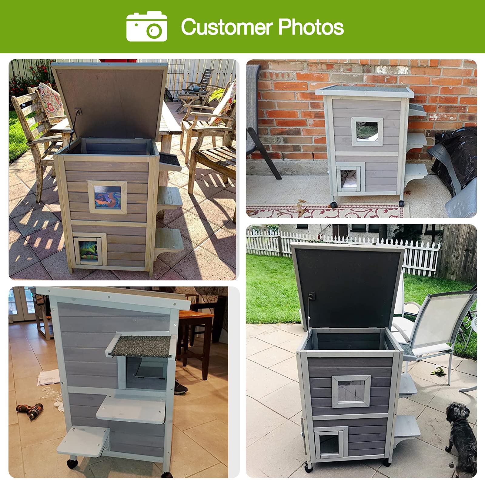 GUTINNEEN Feral Cat House with Escape Door Outdoor Enclosure