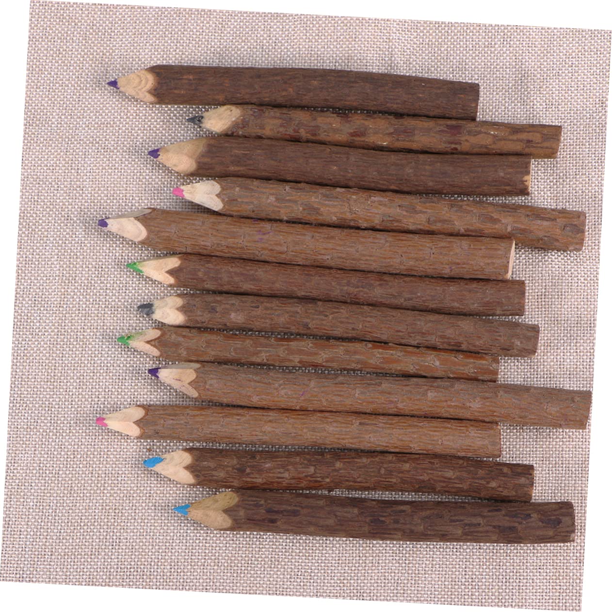 24pièces Crayons De Couleur Branches De Ensemble De Crayons Artistiques Pour Événements Créatifs