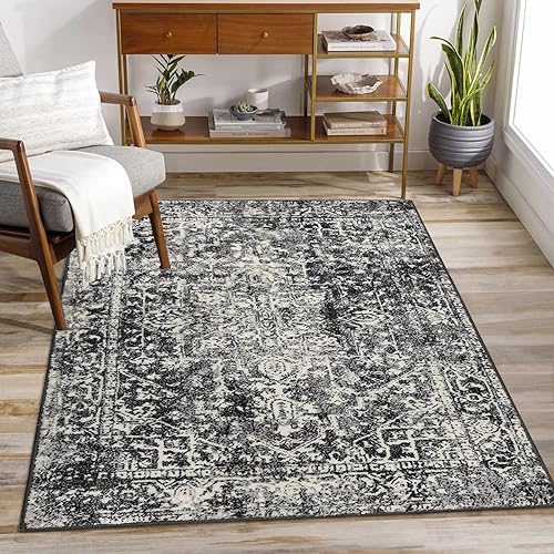 Morebes Black 3x5 Rug for Living Room, Washable Vintage Entryway