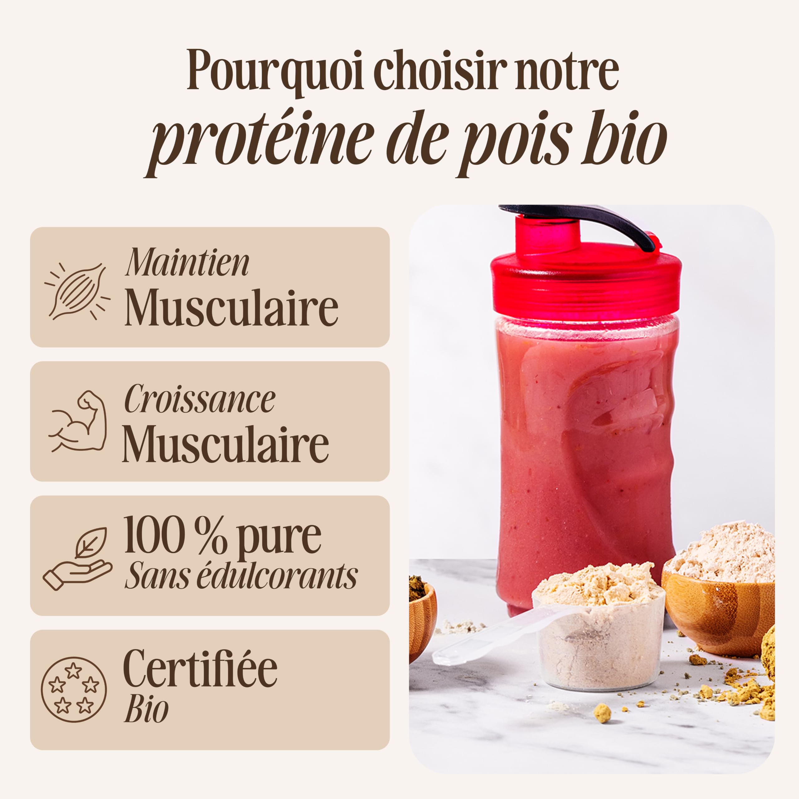 Sevenhills Wholefoods Poudre De Protéines De Pois Bio 1.8kg - Teneur en protéines de 78%