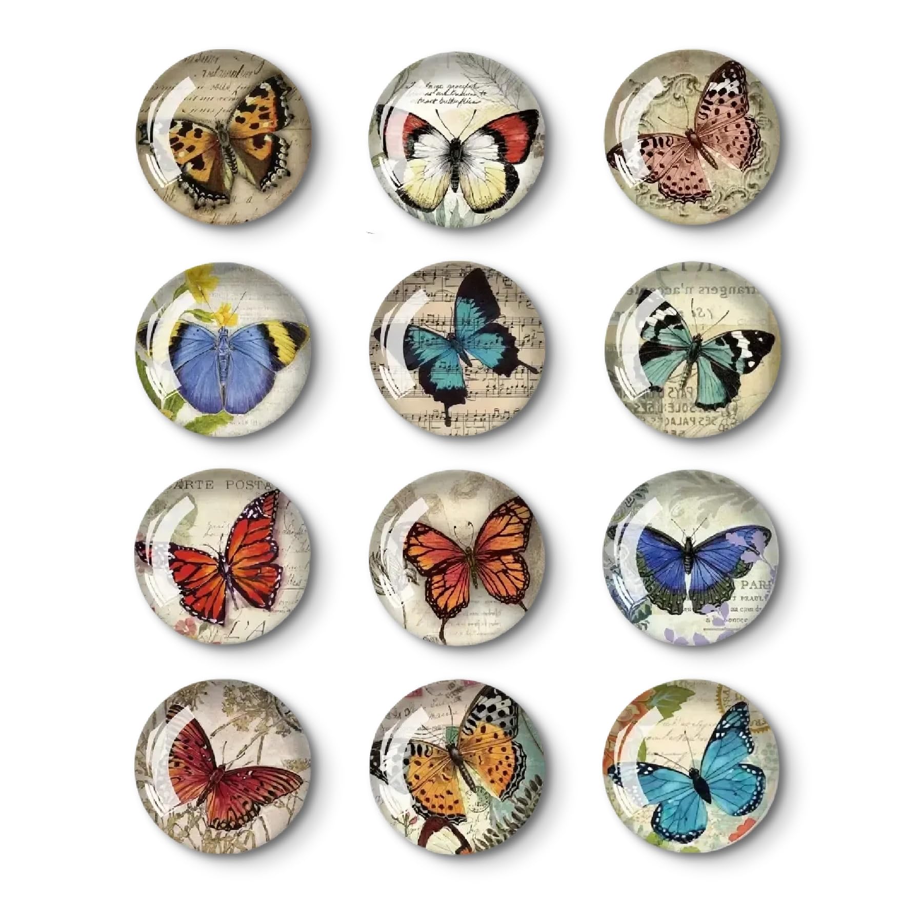 Ensemble D'aimants De Réfrigérateur De 12 Pièces Décoration Aimant Frigo Frigo Magnétique Aimant De Réfrigérateur Decoratif Pièces Aimant Frigo Convenable Pour Présentations Suspendues