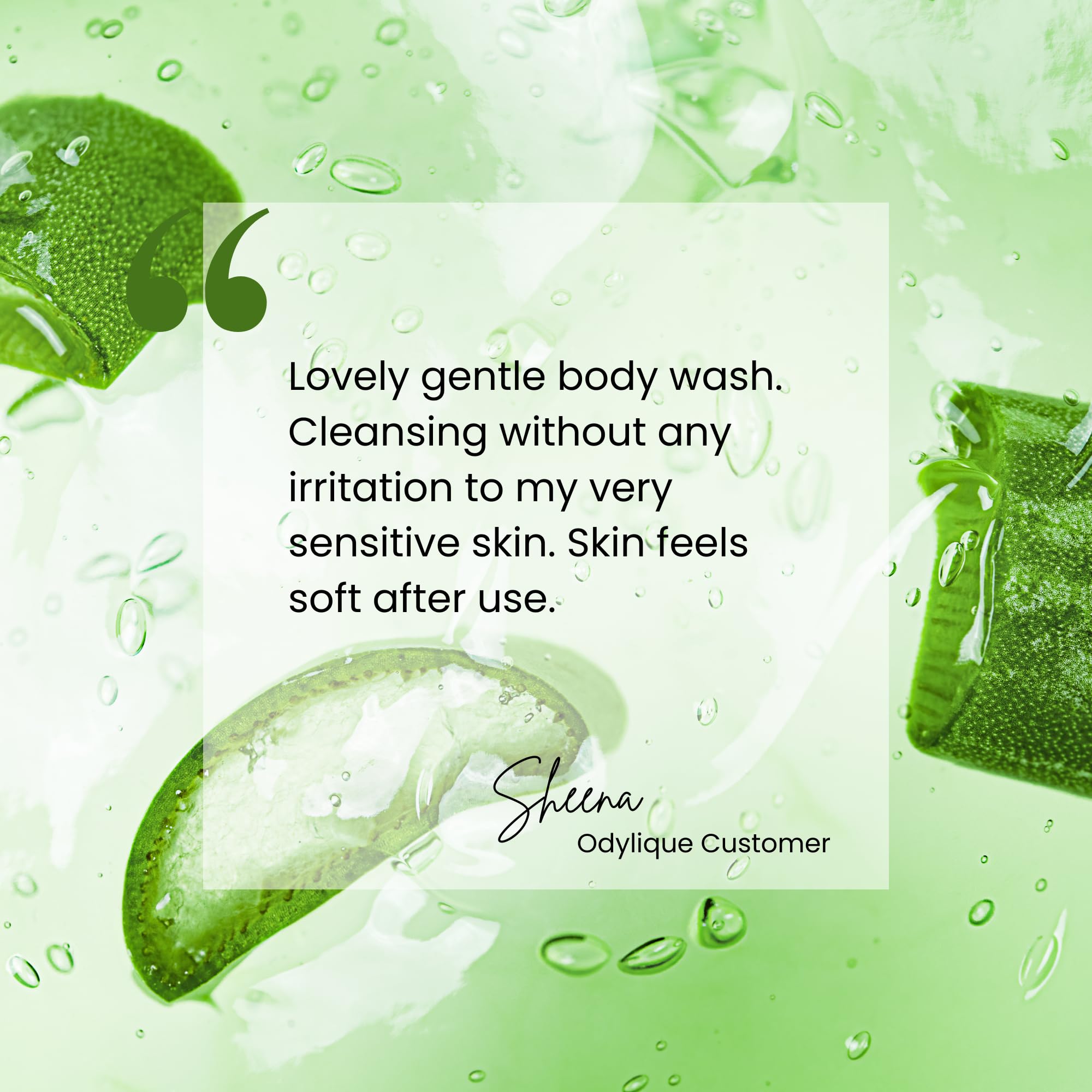 Odylique Aloe Vera Body Wash 500ml - Image 3