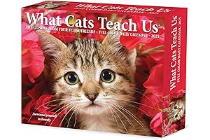 Essence Calender: What Cats Teach Us Daily 2025