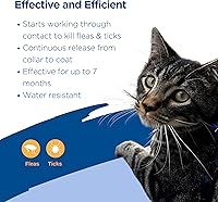 Vista 3 de Zodiac Collar de pulgas y garrapatas para gatos, 13 pulgadas