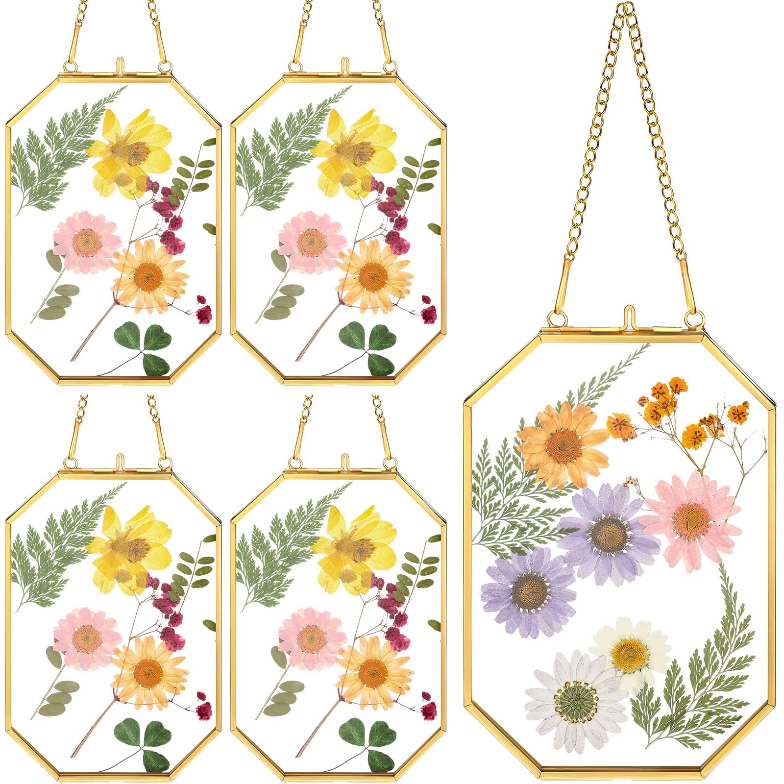 Treela 4 Pieces 4 x 6 Inch Glass Pressed Flower Frame, Hanging Double Glass Frames with Metal Chain Octagon Brass Tabletop Display for Dried Flowers Plant Picture Photo Artwork DIY Decor (Gold)