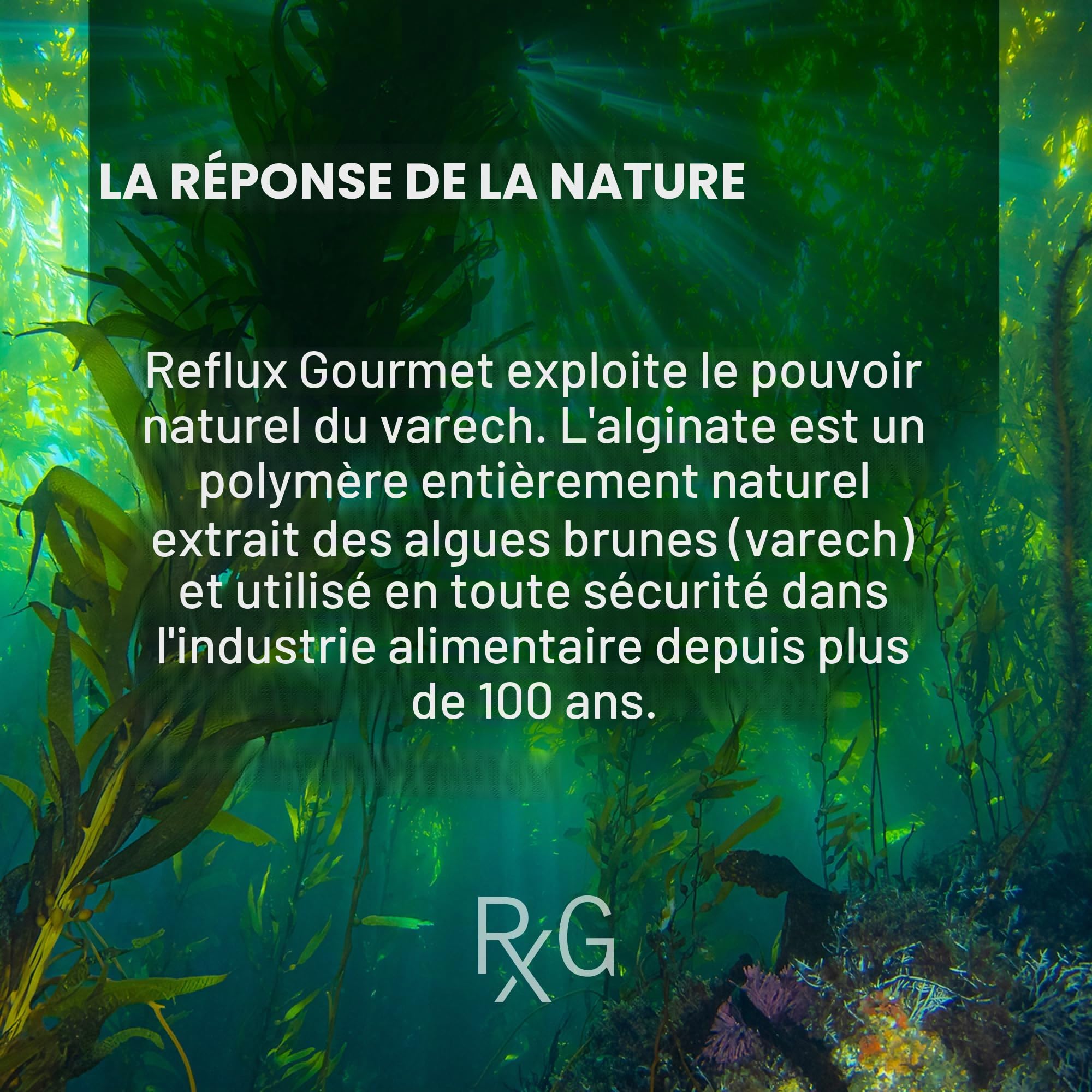 Reflux Gourmet - Soulagement naturel des brûlures d'estomac et thérapie par reflux acide, fournit un soulagement du reflux – Complément naturel pour le RGO, LPR, considéré comme sûr pour les enfants